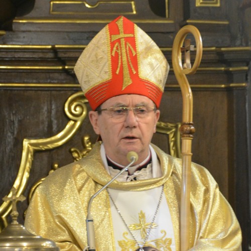 Peregrynacja obrazu NSPJ w Przemyślu (OO. Reformaci) - bp Krzysztof Chudzio - homilia (25.04.2024)