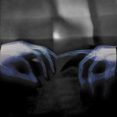 Digregorius OS  Podcast