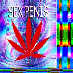 SEX PENIS