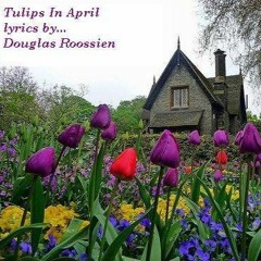 Tulips in April ...(by DOUG ROOSSIEN) ...sung and played by Bethany Sky Whitman
