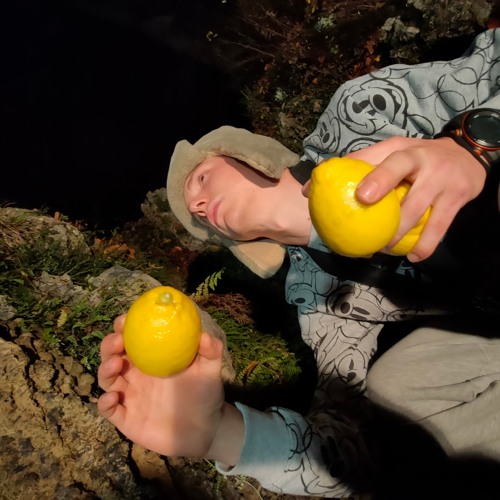 Top 20 🍋