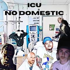 ICU NO DOMESTIC
