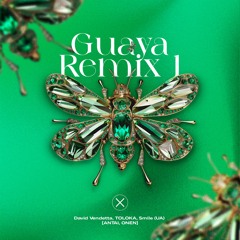 AXIOM0021: David Vendetta, TOLOKA, Smile (UA) - Guaya (ANTAI, ONEN Remix)