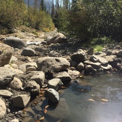 Soul Meets Body (Death Cab For Cutie Cover)