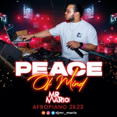 "Peace Of Mind" Afropiano Mix 2k23