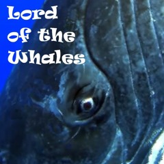 Lord of the Whales