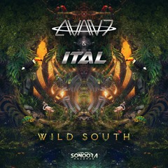 Novo e irado: Trance