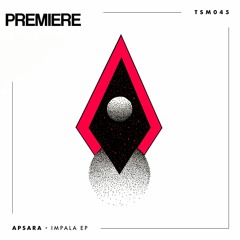 PREMIERE: Apsara - Bayle (Original Mix) [Truesound Music]