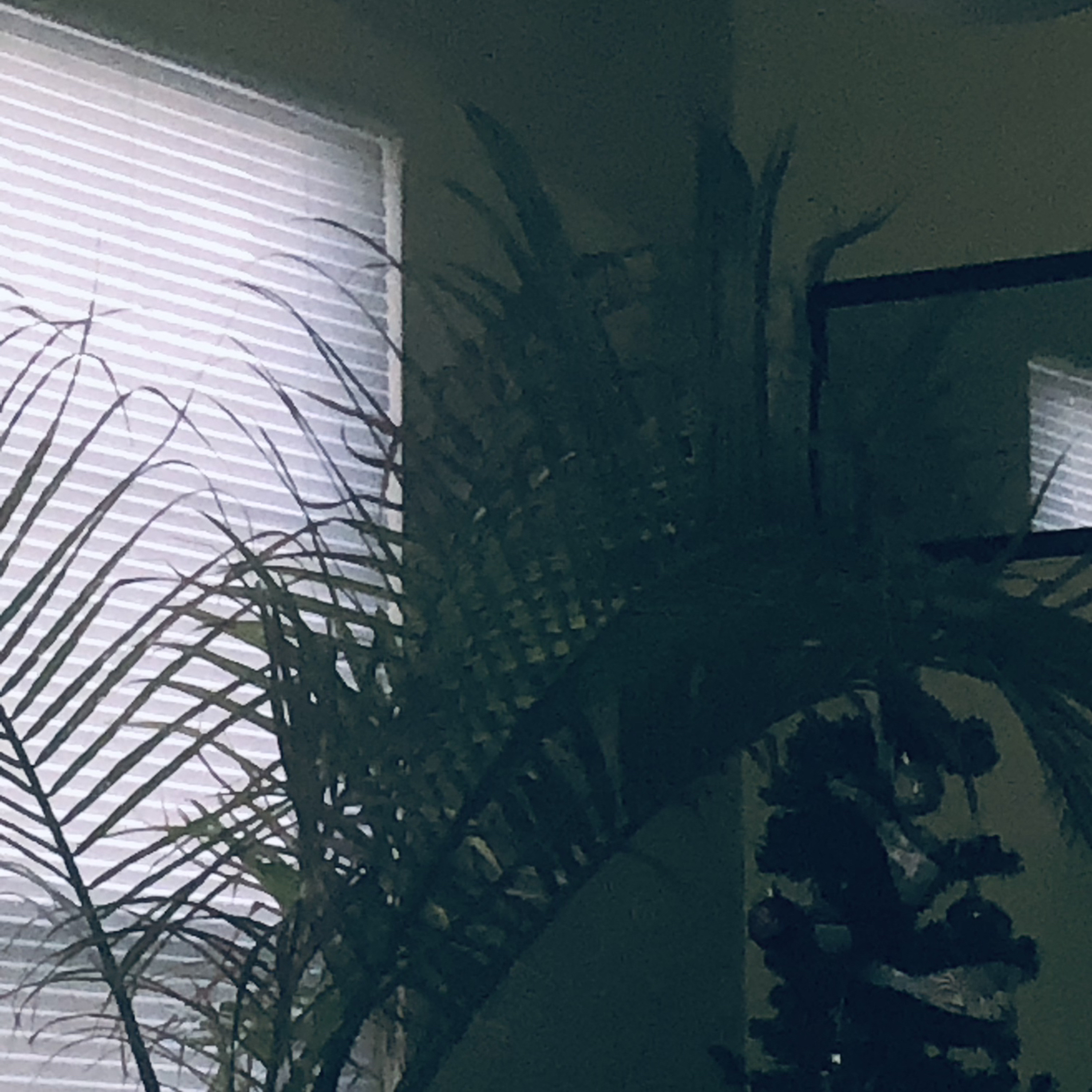 Treeson