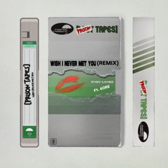 Wish I never met you(modified remix)