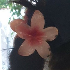 planetarium - jirapah (cover).m4a