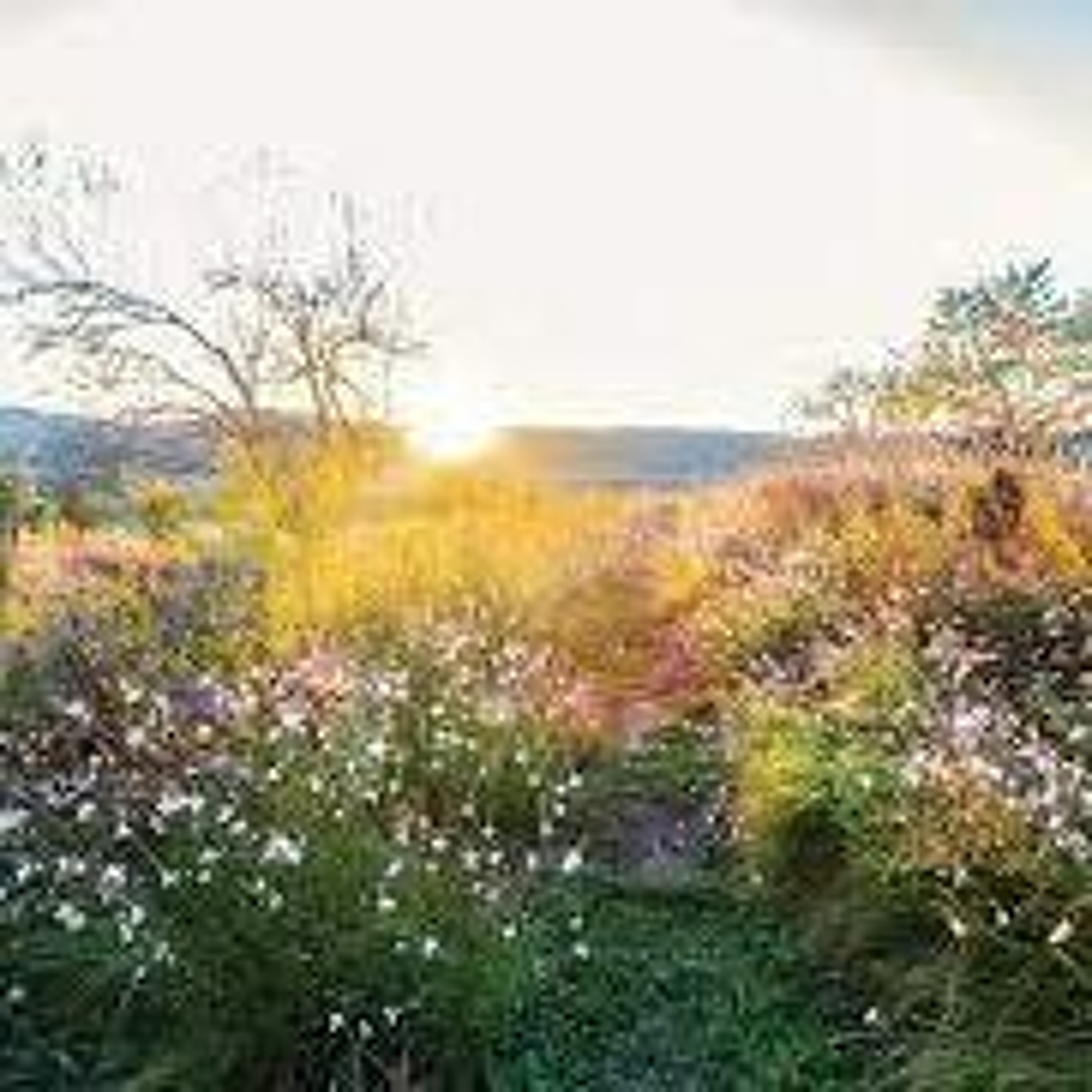 Pete Muroski of Hudson Valley Native Landscaping