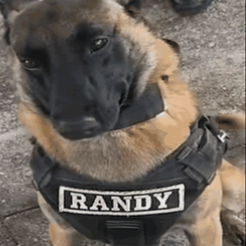 Checkpoint 9 (29-2) | Smash Hit