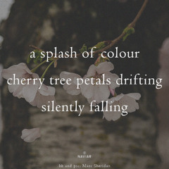 A Splash of Colour - (naviarhaiku - 585)