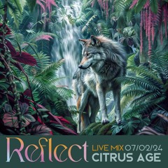 Citrus Age Live at Reflect 07.02.24