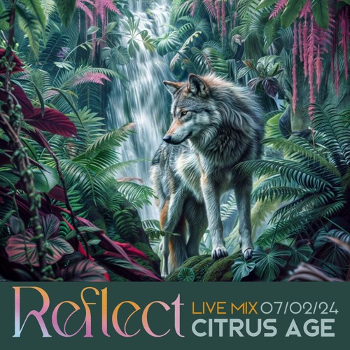 Citrus Age Live at Reflect 07.02.24