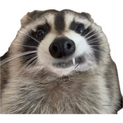 Sewage pipe boogaloo