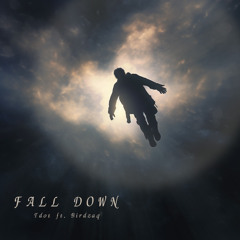 Fall Down ft. Birdzaq