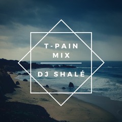 T-Pain Mix - DJ Shalé