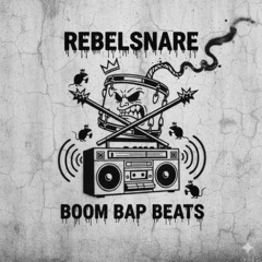 Rasta Logic - Boom Bap Beat