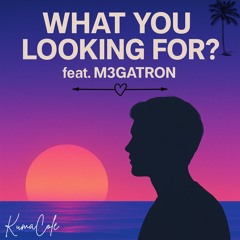 What You Looking For ? (feat.m3gatron) (Instrumental)
