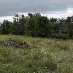 Hunger Games Inspo Idea *sketch*