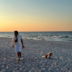 vibe dealer (house mix)