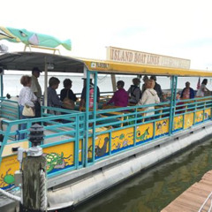 Review Special Price Cocoa Beach Dolphin Tours On The Banana River