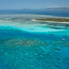 Best Ocean Free Green Island Great Barrier Reef Snorkel Cruise Cairns 25 Guests Tours Review