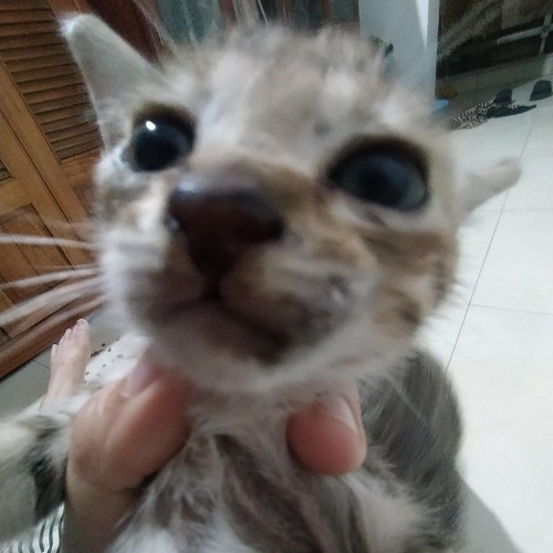 CDDT13 - NATKD - Tinzh ft BaoLong.mp3