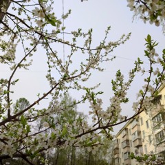 OG BUDA ft. wavescale - ЙЕХ3