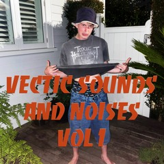 VECTIC: Sounds and Noises VOL 1