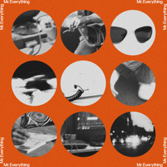 Mr. Everything