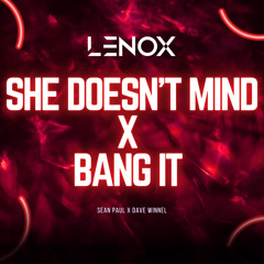 She Doesn't Mind X Bang It (Lenox Mashup) | Sean Paul & Dave Winnel