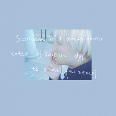 sonata n°8 dormivamo sotto il soffitto del tè e dei fiori secchi