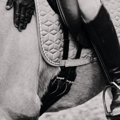 High Horse
