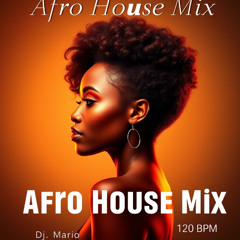 Mario DJ Afro House Mix 2025 06 Master