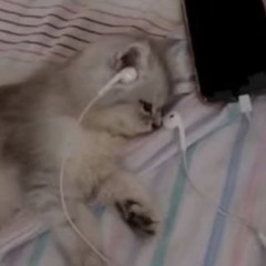 headphones (bootleg)