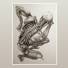 Chiropractic Philosophy