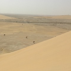 Singing Dunes Qatar