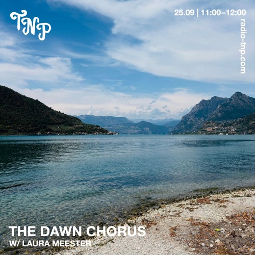The Dawn Chorus w/ Laura Meester