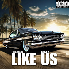 Topshakaz - Like Us (feat Matz)