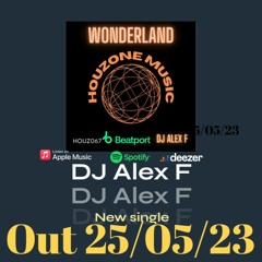 Wonderland - Dj Alex F (Techno  Mix)