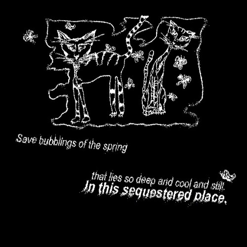 Amaliya Pivnyk // IN THIS SEQUESTERED PLACE. ⋆ ˚｡𖦹 ⋆｡°