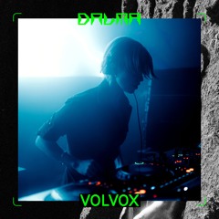 Volvox at Dalma Festival 2024