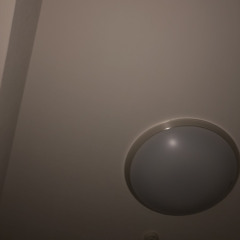 Cat (Demo, Take999)