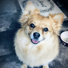 Minefields (live cover)