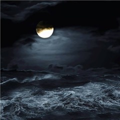 Waves In The Night
