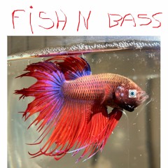 FISH N BASS (Hall D & DJ riz doux)