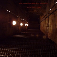 Ark Dambient [Blow-Up Variant] -  Blink Twice | WBE